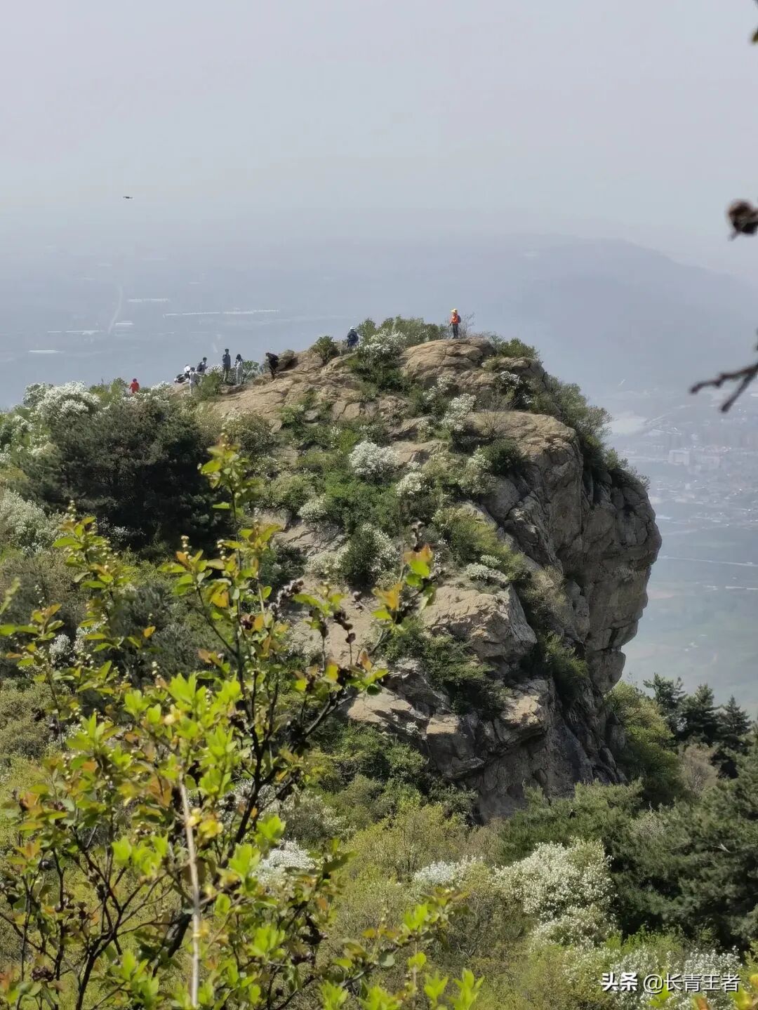 【荒野61登山】4月19日(周三)蓝关古道 | 蓝关古道穿越虎头山