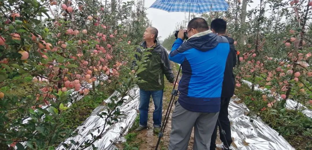 农林卫视致富信息_央视农业节目致富经_陕西农林卫视致富经