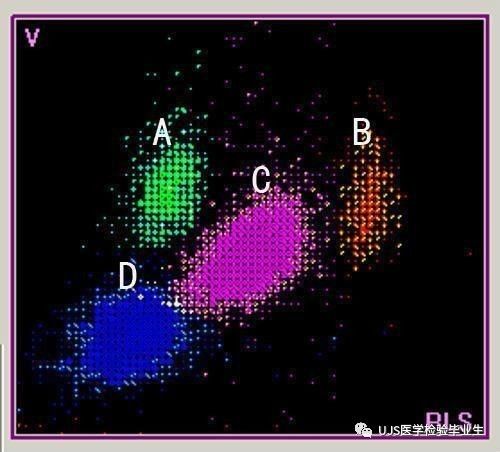 什么是血液分析仪【小结】血细胞分析仪的白细胞五分群原理与散点图_https://www.jmylbn.com_新闻资讯_第6张