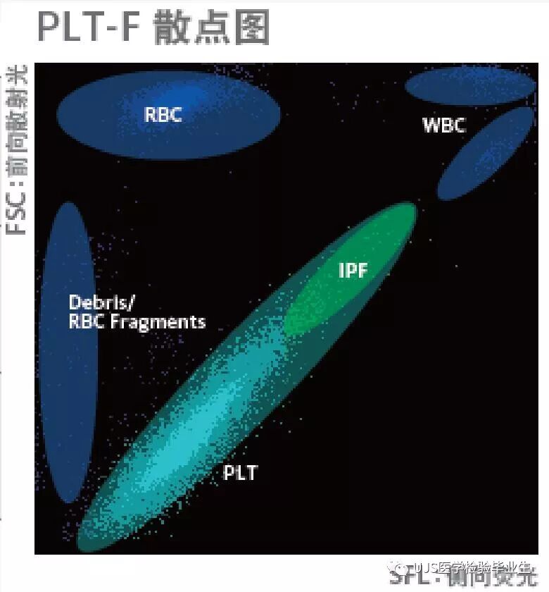 rbc直方图怎么看【小结】常见血细胞分析仪的检测原理与直方图／散点图_https://www.jmylbn.com_新闻资讯_第25张
