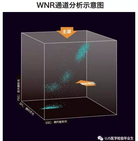 rbc直方图怎么看【小结】常见血细胞分析仪的检测原理与直方图／散点图_https://www.jmylbn.com_新闻资讯_第19张
