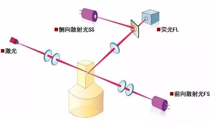 rbc直方图怎么看【小结】常见血细胞分析仪的检测原理与直方图／散点图_https://www.jmylbn.com_新闻资讯_第11张