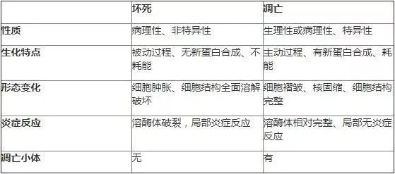 上皮细胞用什么染色脱落细胞学（细胞病理学） 名词解释&小知识点整理_https://www.jmylbn.com_新闻资讯_第3张