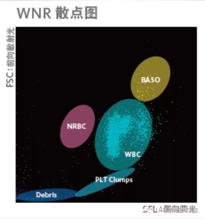 rbc直方图怎么看【小结】常见血细胞分析仪的检测原理与直方图／散点图_https://www.jmylbn.com_新闻资讯_第20张