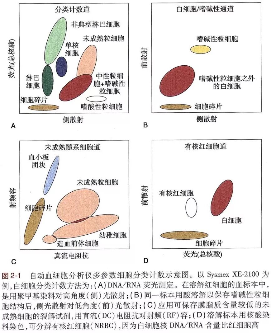 rbc直方图怎么看【小结】常见血细胞分析仪的检测原理与直方图／散点图_https://www.jmylbn.com_新闻资讯_第17张