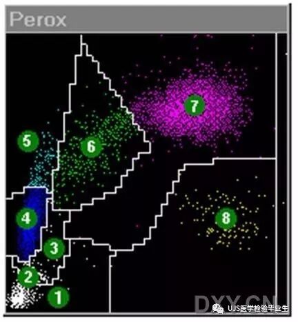 什么是血液分析仪【小结】血细胞分析仪的白细胞五分群原理与散点图_https://www.jmylbn.com_新闻资讯_第19张