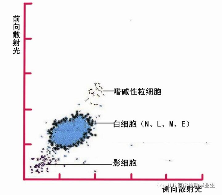 rbc直方图怎么看【小结】常见血细胞分析仪的检测原理与直方图／散点图_https://www.jmylbn.com_新闻资讯_第15张