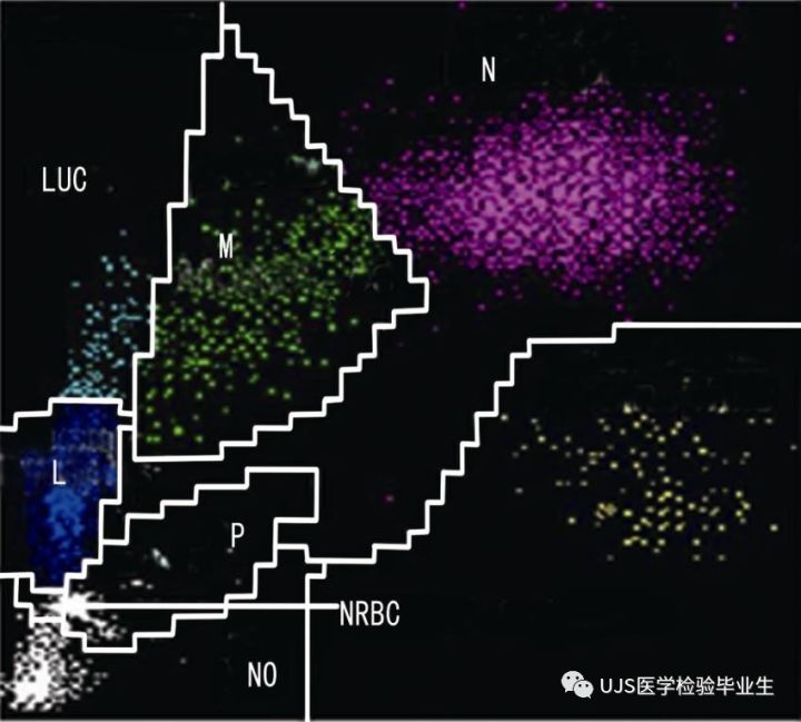 什么是血液分析仪【小结】血细胞分析仪的白细胞五分群原理与散点图_https://www.jmylbn.com_新闻资讯_第20张