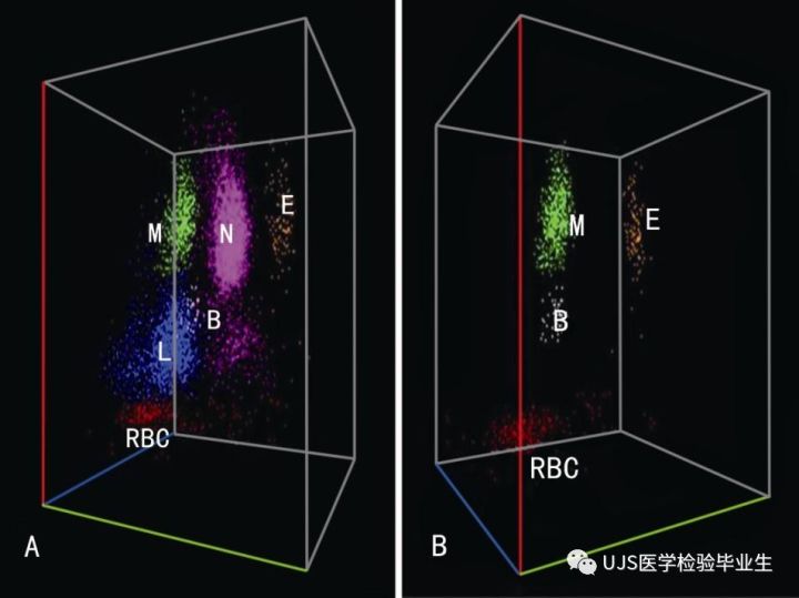 什么是血液分析仪【小结】血细胞分析仪的白细胞五分群原理与散点图_https://www.jmylbn.com_新闻资讯_第5张