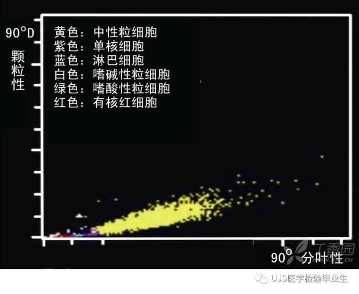 什么是血液分析仪【小结】血细胞分析仪的白细胞五分群原理与散点图_https://www.jmylbn.com_新闻资讯_第28张