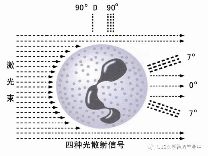 什么是血液分析仪【小结】血细胞分析仪的白细胞五分群原理与散点图_https://www.jmylbn.com_新闻资讯_第24张