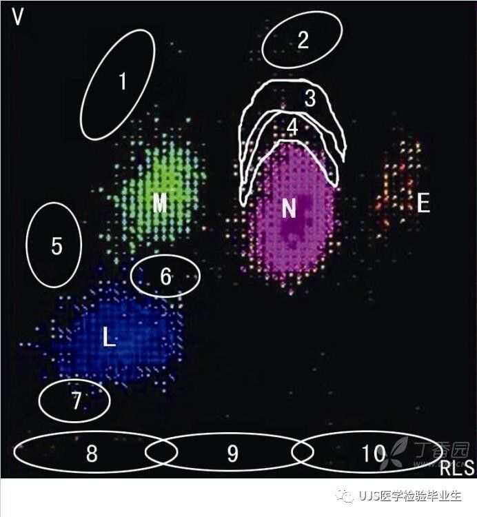 什么是血液分析仪【小结】血细胞分析仪的白细胞五分群原理与散点图_https://www.jmylbn.com_新闻资讯_第7张