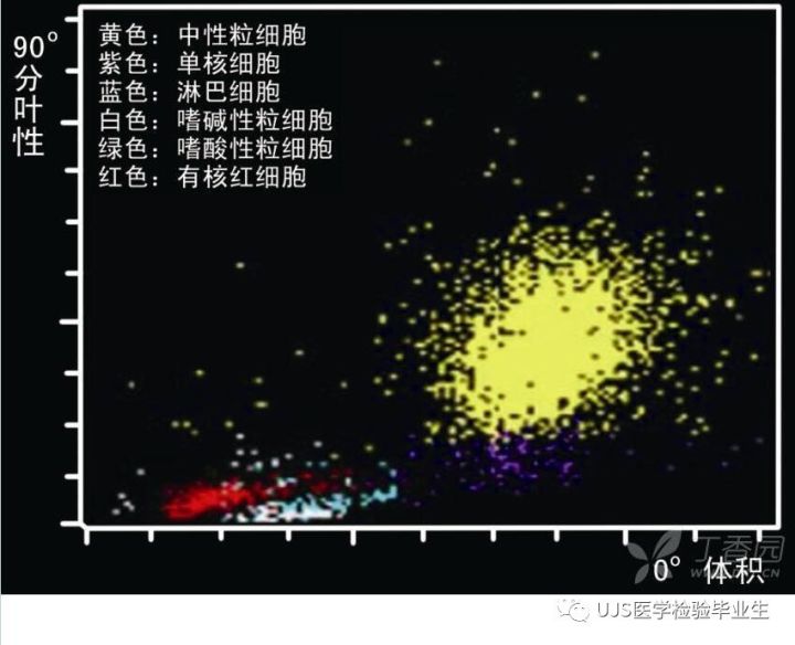什么是血液分析仪【小结】血细胞分析仪的白细胞五分群原理与散点图_https://www.jmylbn.com_新闻资讯_第27张