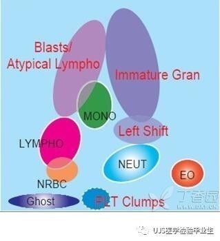 什么是血液分析仪【小结】血细胞分析仪的白细胞五分群原理与散点图_https://www.jmylbn.com_新闻资讯_第13张