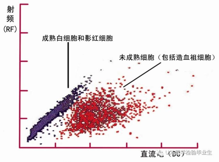 rbc直方图怎么看【小结】常见血细胞分析仪的检测原理与直方图／散点图_https://www.jmylbn.com_新闻资讯_第16张