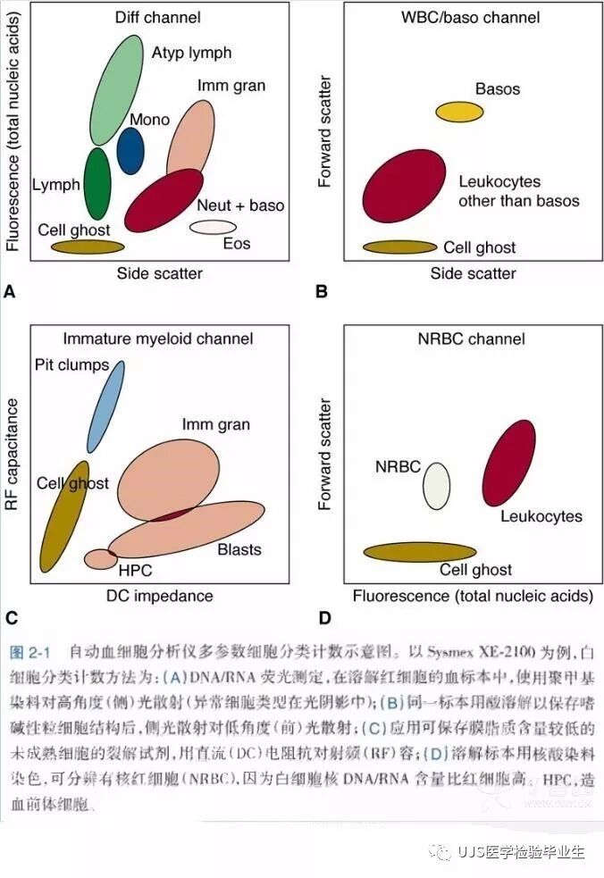 什么是血液分析仪【小结】血细胞分析仪的白细胞五分群原理与散点图_https://www.jmylbn.com_新闻资讯_第12张