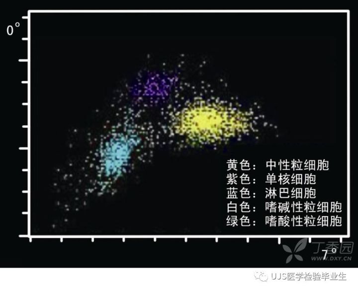 什么是血液分析仪【小结】血细胞分析仪的白细胞五分群原理与散点图_https://www.jmylbn.com_新闻资讯_第26张