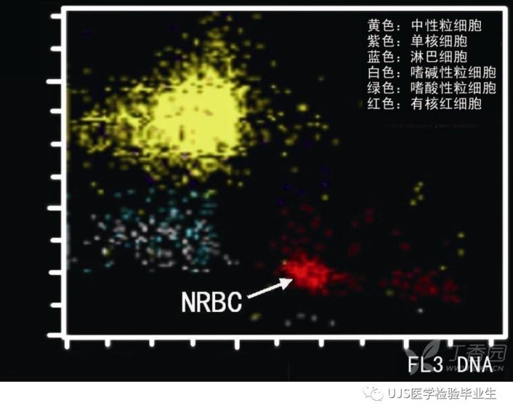 什么是血液分析仪【小结】血细胞分析仪的白细胞五分群原理与散点图_https://www.jmylbn.com_新闻资讯_第29张