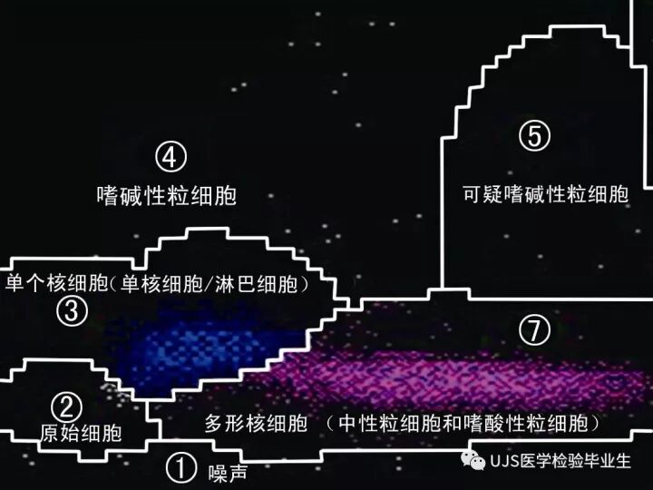 什么是血液分析仪【小结】血细胞分析仪的白细胞五分群原理与散点图_https://www.jmylbn.com_新闻资讯_第21张