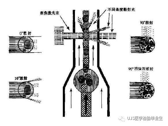 什么是血液分析仪【小结】血细胞分析仪的白细胞五分群原理与散点图_https://www.jmylbn.com_新闻资讯_第23张