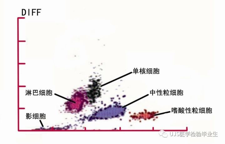 什么是血液分析仪【小结】血细胞分析仪的白细胞五分群原理与散点图_https://www.jmylbn.com_新闻资讯_第9张
