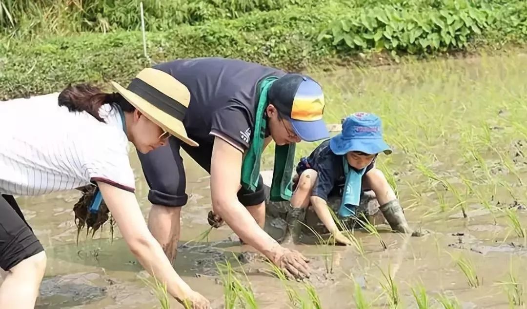 育儿心得经验_幼儿园中班育儿心得_我的育儿心得