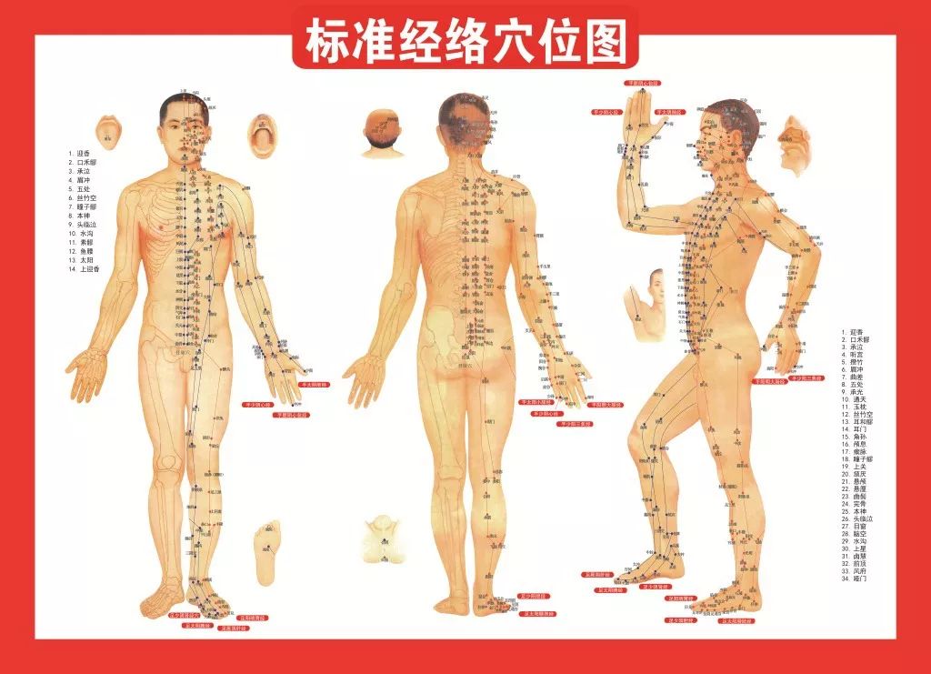 经络不通，补啥都没用！14条经络阻塞后的表现，你一定要知道！