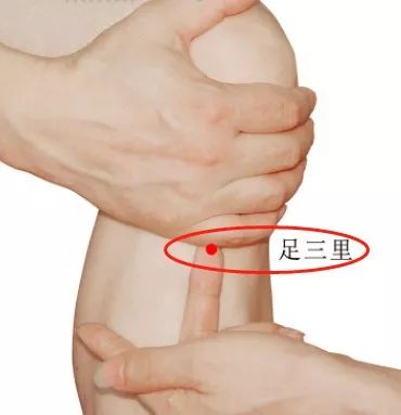 足三里0.png 图片