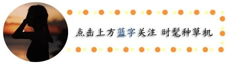 泰国Sidegra小蓝片和泰国kamagra果冻伟哥哪个效果好？