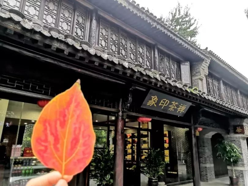 在台儿庄古城的素锦华年里,吟一首岁月静好 在台儿庄古城的素锦华年里,吟一首岁月静好