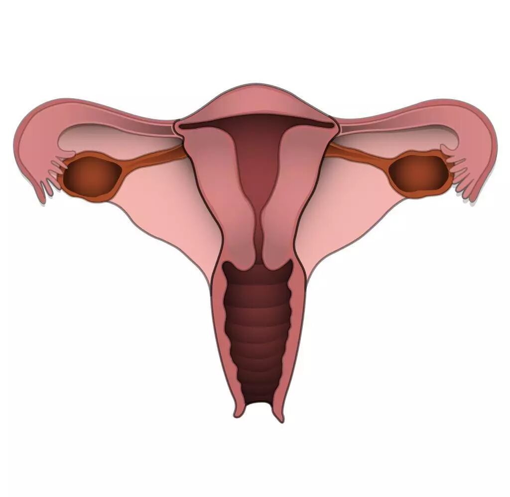 喂！子宫，你恢复的怎么样了？