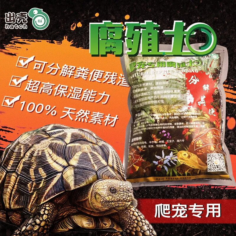 角蛙 豹纹 玩具蛇 常见爬宠新手套餐来了 肆养器材 肆养 微信公众号文章阅读 Wemp