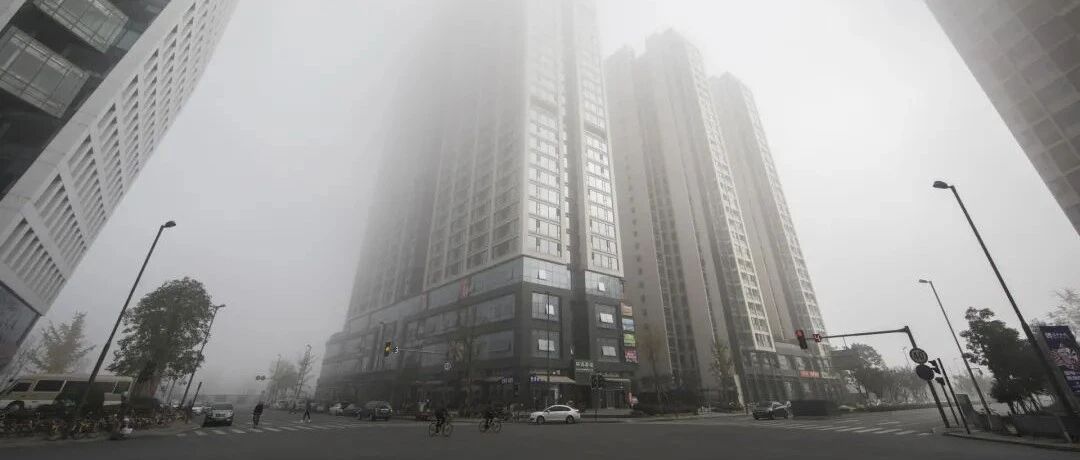 雾天行车需谨慎！双闪不要随意开！