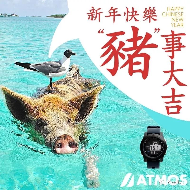 潛水電腦選對了嗎？它更了解你所需——ATMOS Mission One 科技 第32張