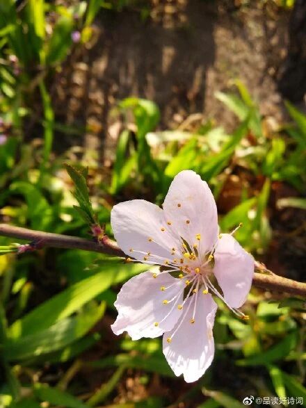 春天养发季，养护头发保证头发柔顺一整年