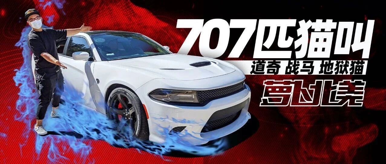 比挑战者还快！美国警察都羡慕的战马地狱猫 ｜ 萝卜北美