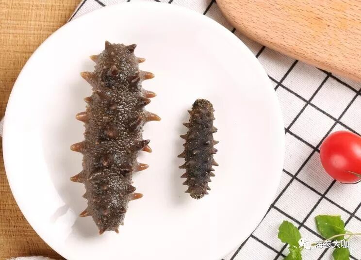 N个理由，让你无法拒绝海参……