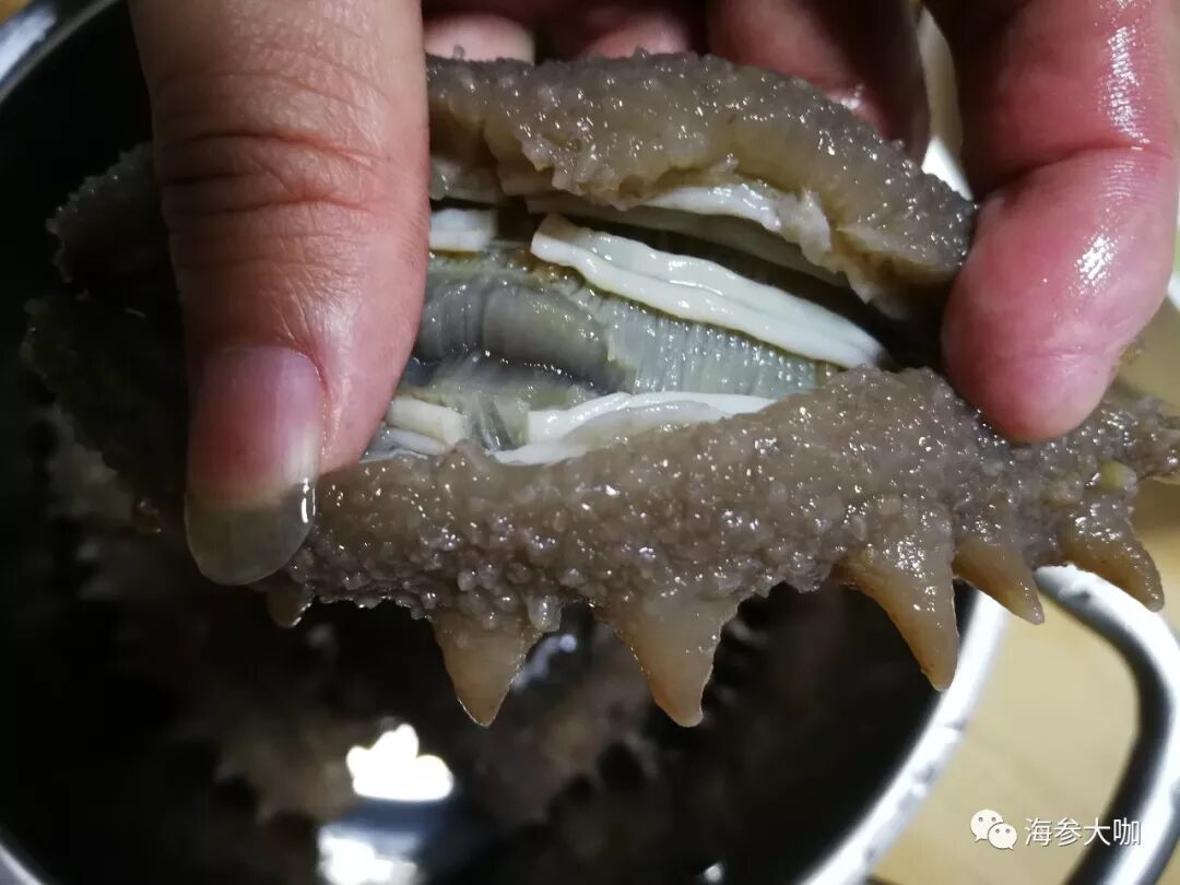 海参出现了这几种情况，是你发泡过程出了错！