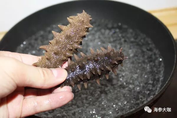 海参出现了这几种情况，是你发泡过程出了错！