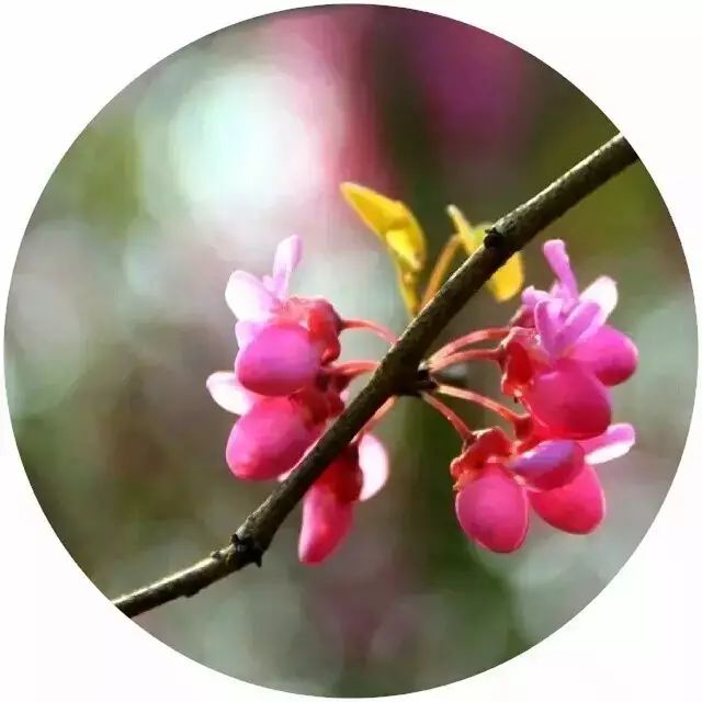 早听：放下昨天，珍惜今天