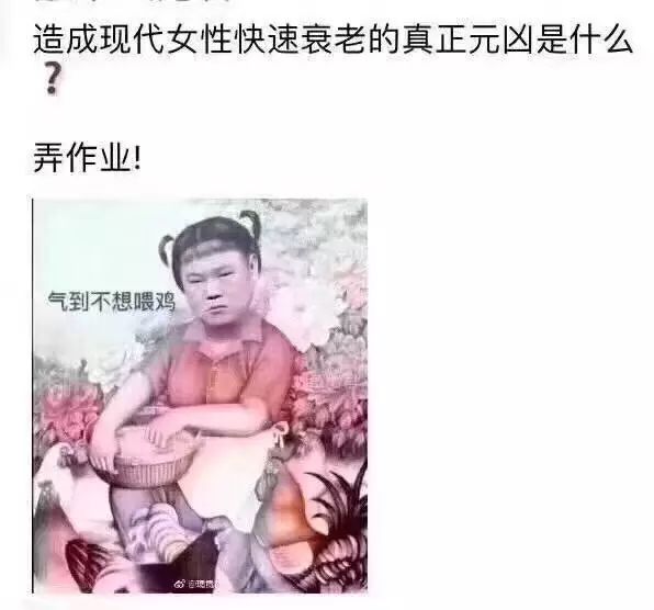 回国发展 学奥数的中年人 非常真实的国内写照 我家亲朋都在经历着 由vawong发表 文学城