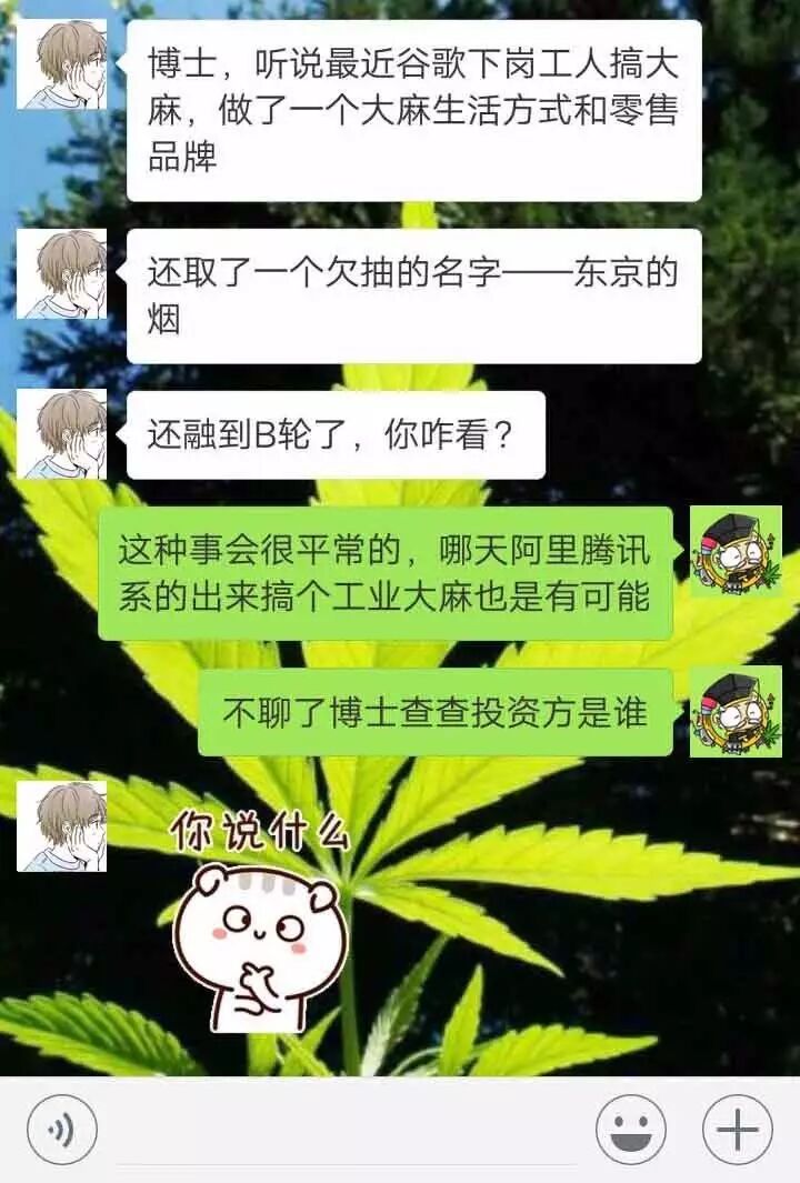 大麻投资这把火 谁烧起来的 自由微信 Freewechat