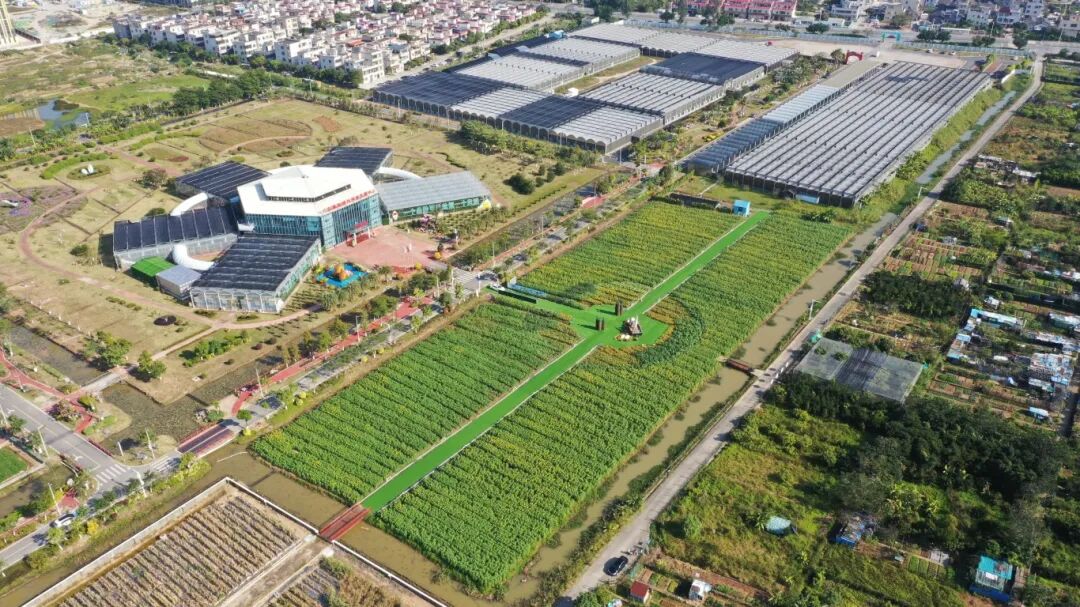 平沙镇召开镇党委扩大会议传达学习贯彻省委常委会会议精神和市委区委