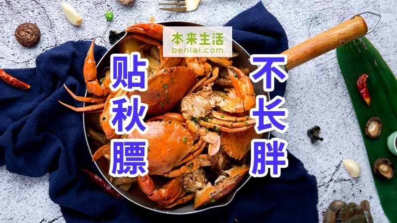 贴秋膘还能不长胖？！怎么做到的！快救救我！