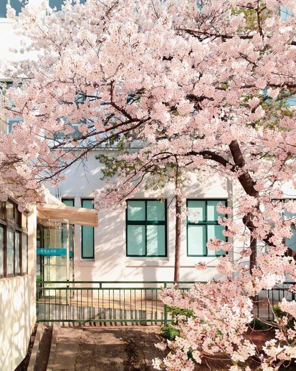 一言一曲 学英文 德国优才计划 微信公众号文章阅读 Wemp