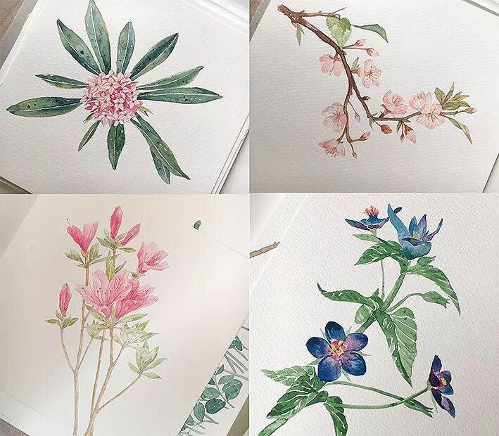 一年無事 只為花忙 設計目錄 微文庫