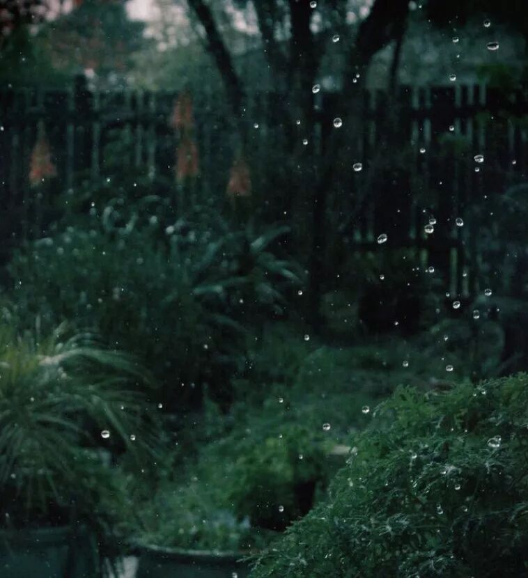 清闲无事静坐听雨