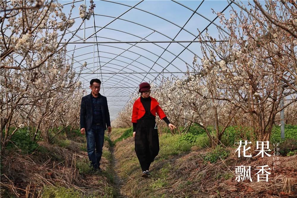 问道心得怎么合成_问道经验心得怎么做_问道心得是什么意思