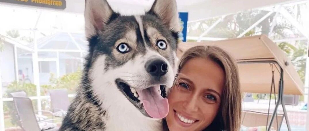 这只机智的哈士奇每次闯祸后都找到一个特别有效的方法，来逃避铲屎官的制裁！