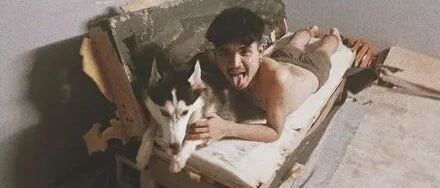 “养狗,让我原本富裕的家庭变得一贫如洗...”